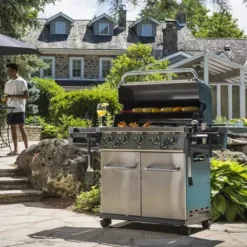 Broil King Barbecue Gaz Regal S 590 Pro Broilking -Napoleorm Magasin barbecue gaz regal s 590 pro broilking 6