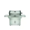 Barbecue Charbon De Bois Pro 605 Inox NAPOLEON -Napoleorm Magasin barbecue inox pro 605 charbon napoleon