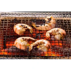 Barbecue Japonais Konro Stove 54 X 23 X 20 Cm BQ8WF -Napoleorm Magasin barbecue japonais konro stove 54 x 23 x 20 cm bq8wf 4